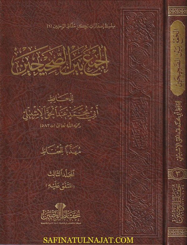الجمع بين الصحيحين | ابي محمد عبد الحق الاشبيلي