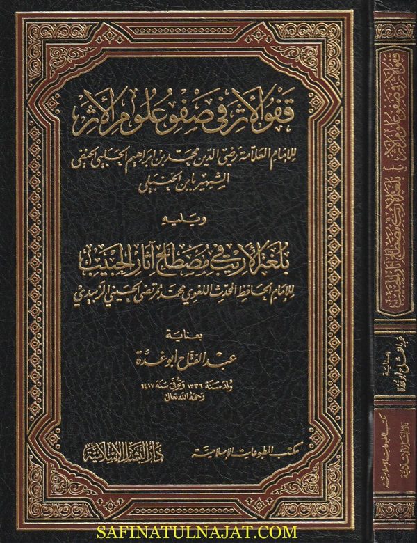 قفو الاثر في صفو علوم الاثر | محمد بن ابراهيم الحلبي الحنفي ابن الحنبلي | ط. دار البشائر