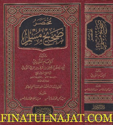 مختصر صحيح مسلم | الامام النووي | ط. دار النوادر