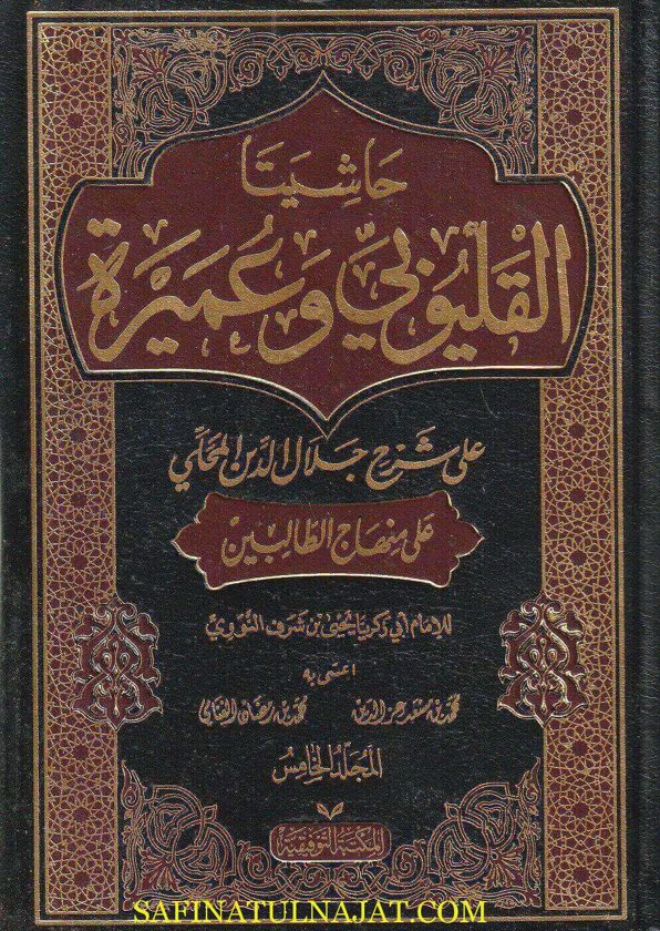 حاشيتا قليوبي وعميرة على كنز الراغبين شرح منهاج الطالبين | الامام النووي | جلال الدين المحلي | ط. المكتبة التوفيقية
