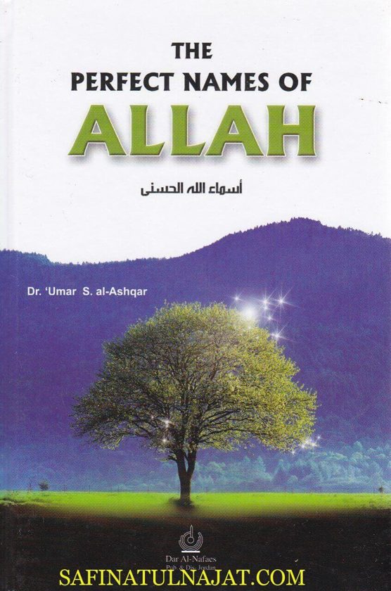 The Perfect Names of Allah