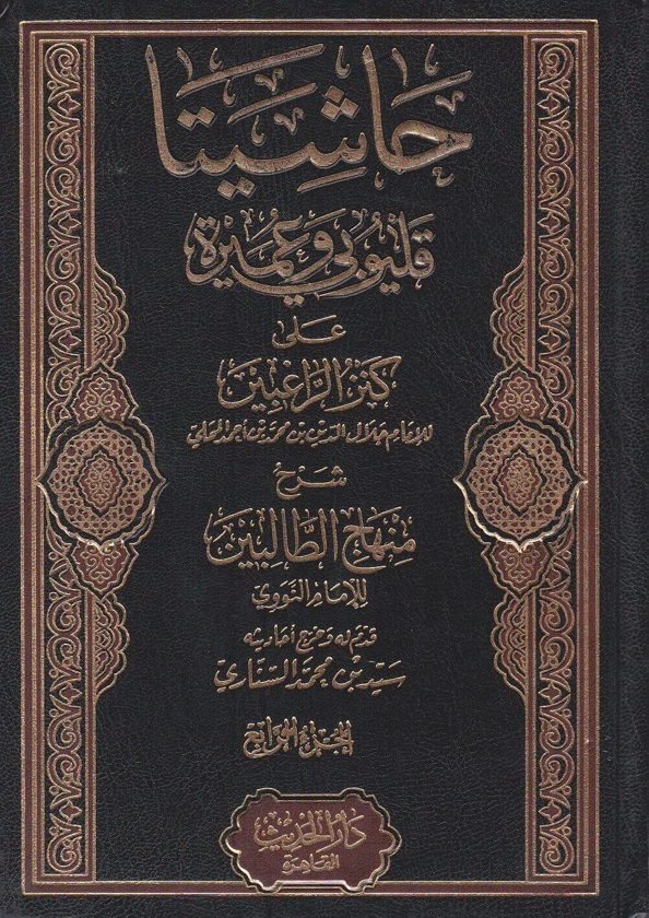 حاشيتا قليوبي وعميرة على كنز الراغبين شرح منهاج الطالبين | الامام النووي | جلال الدين المحلي